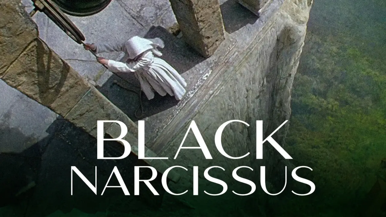 Die schwarze Narzisse hdfilme