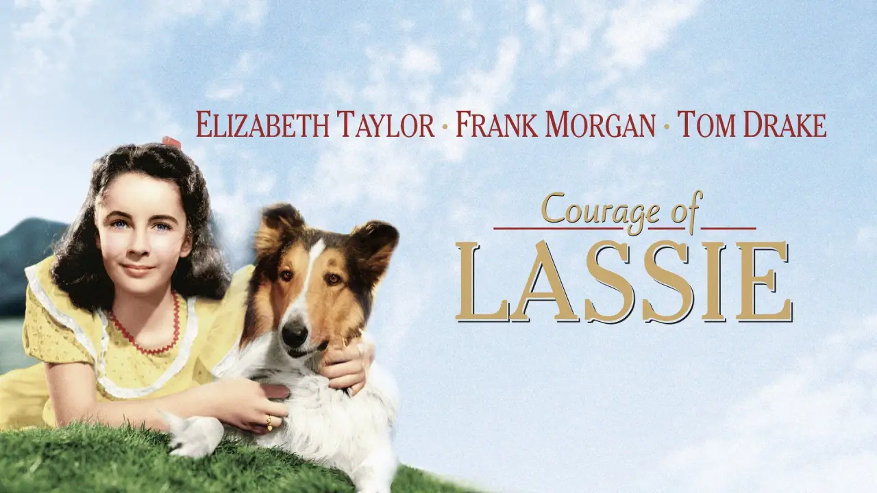 Lassie - Held auf vier Pfoten hdfilme