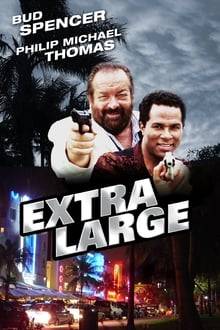 Zwei Supertypen in Miami hdfilme