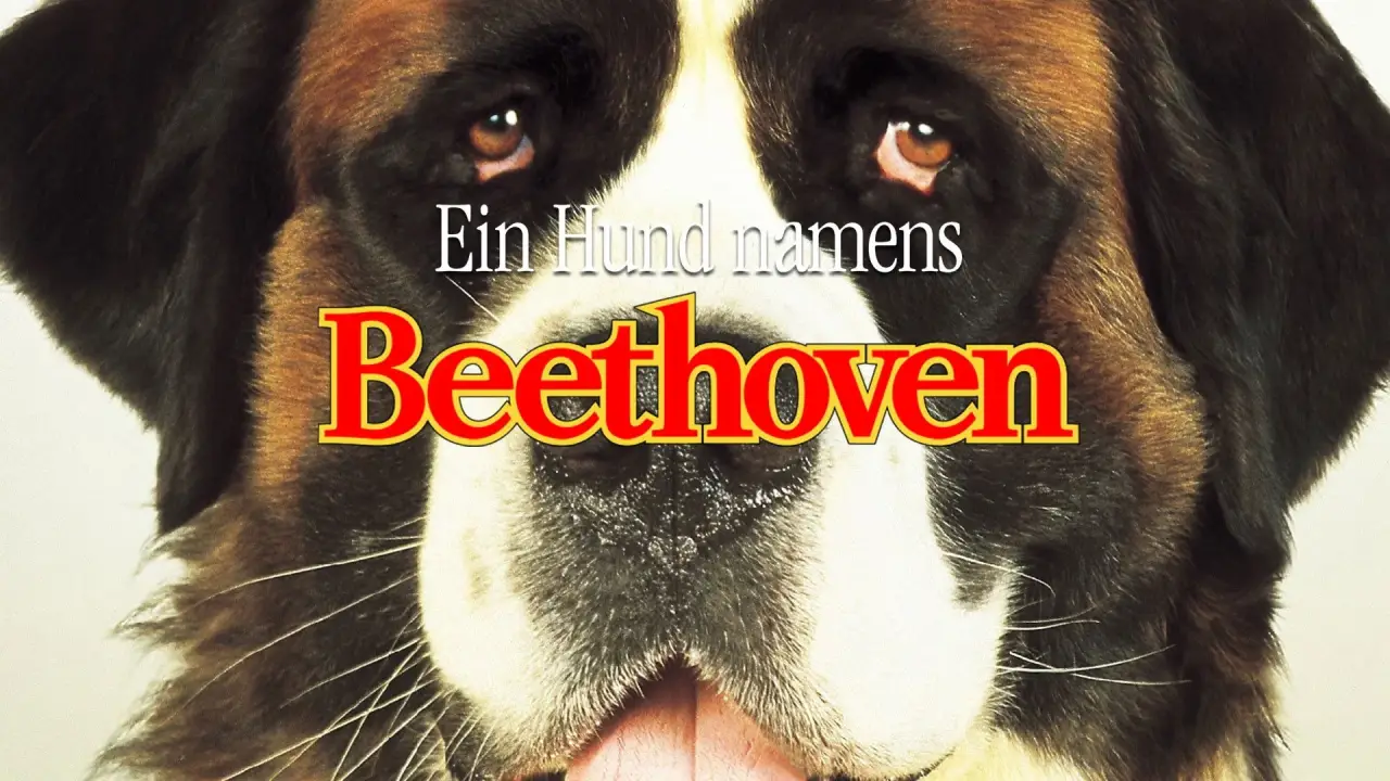 Ein Hund namens Beethoven hdfilme