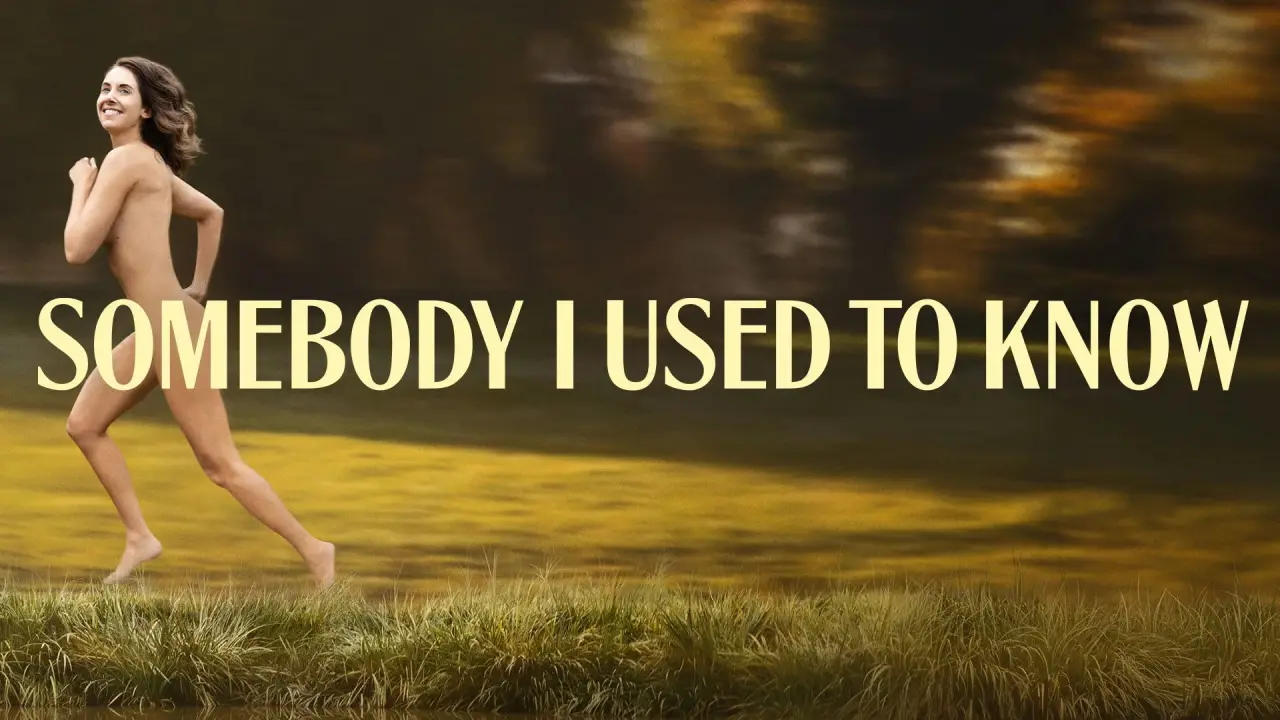 Somebody I Used to Know hdfilme