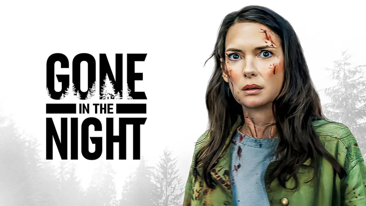 Gone in the Night hdfilme