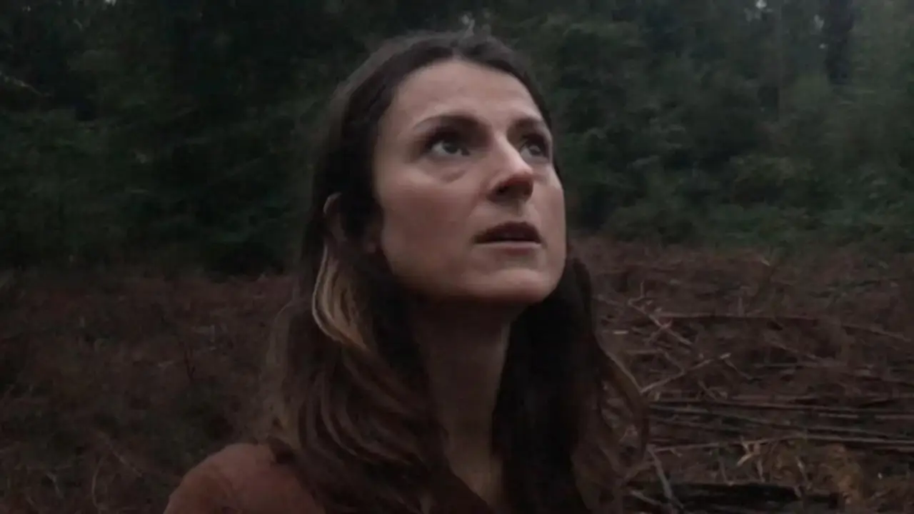 Das Böse im Wald hdfilme
