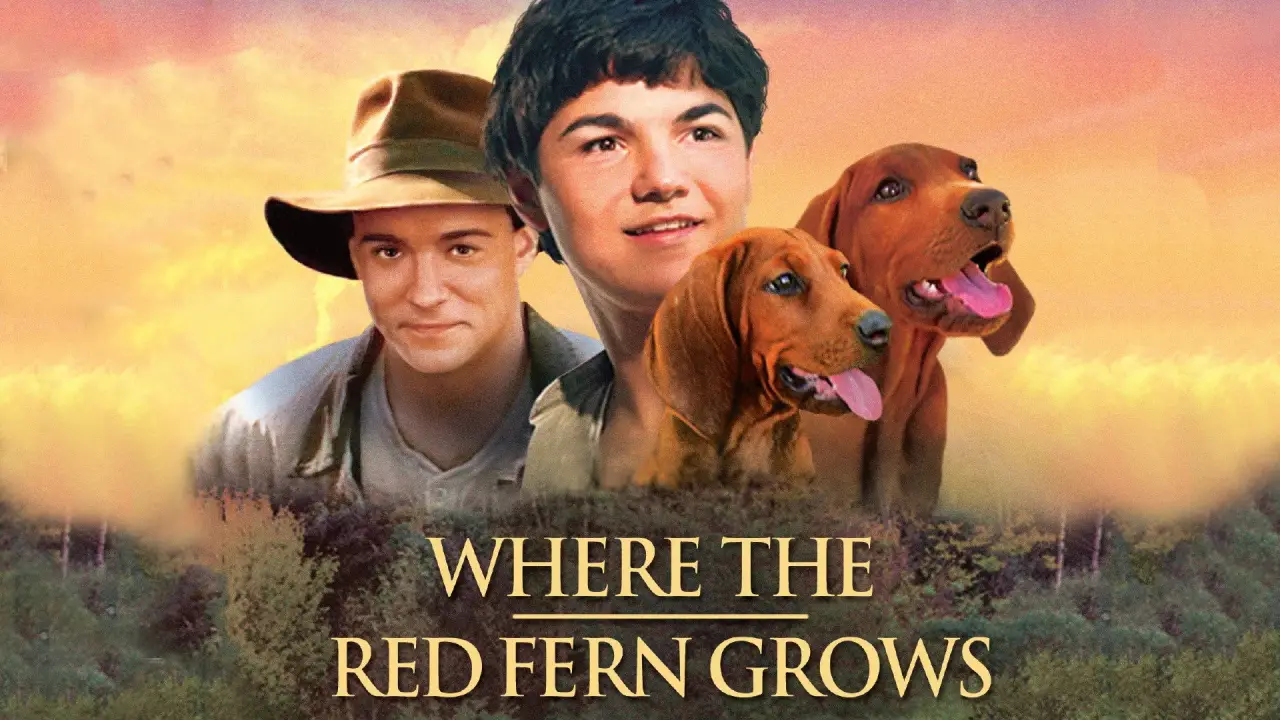 Wo der rote Farn wächst hdfilme