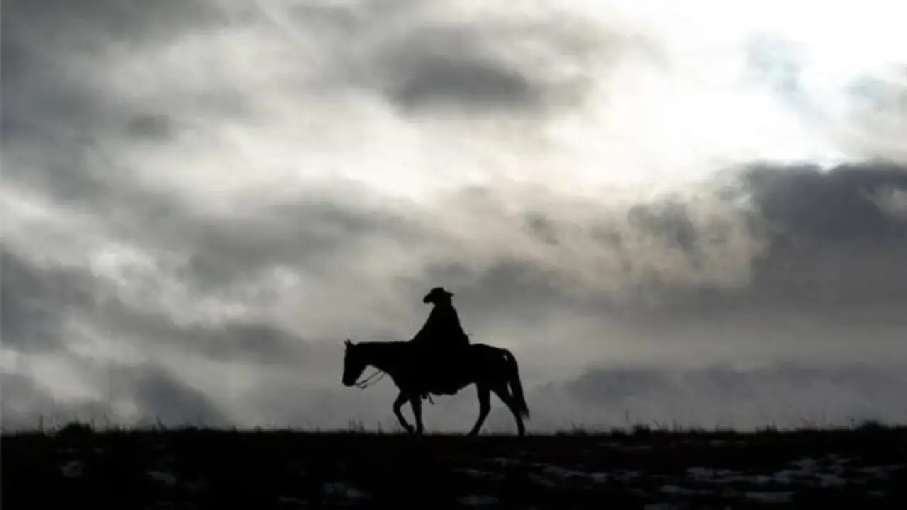 Bring on the Dancing Horses - Die Killerin vor der Tür hdfilme