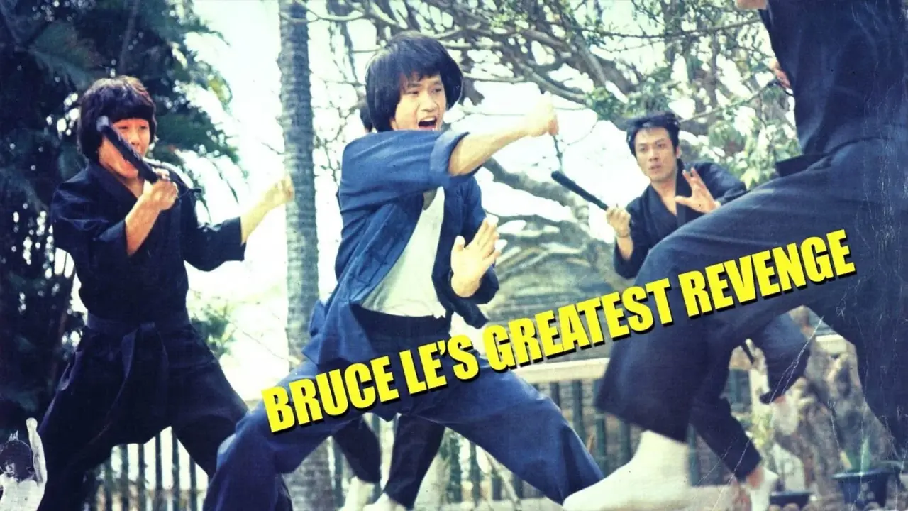 Bruce Lee - Seine tödliche Rache hdfilme