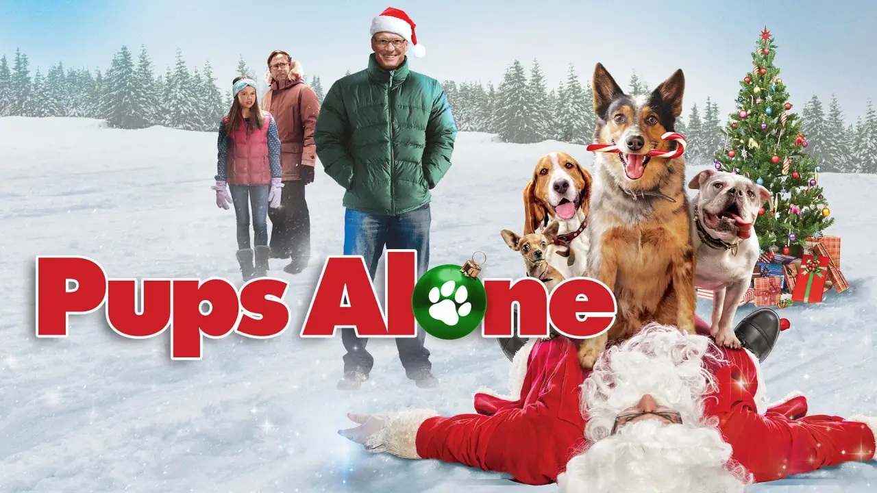 Hunde - Allein zu Haus hdfilme