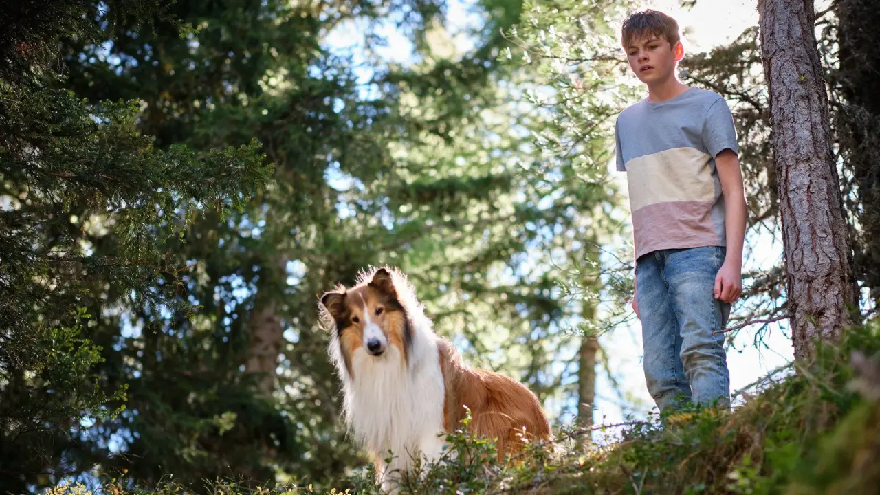 Lassie - Ein neues Abenteuer hdfilme