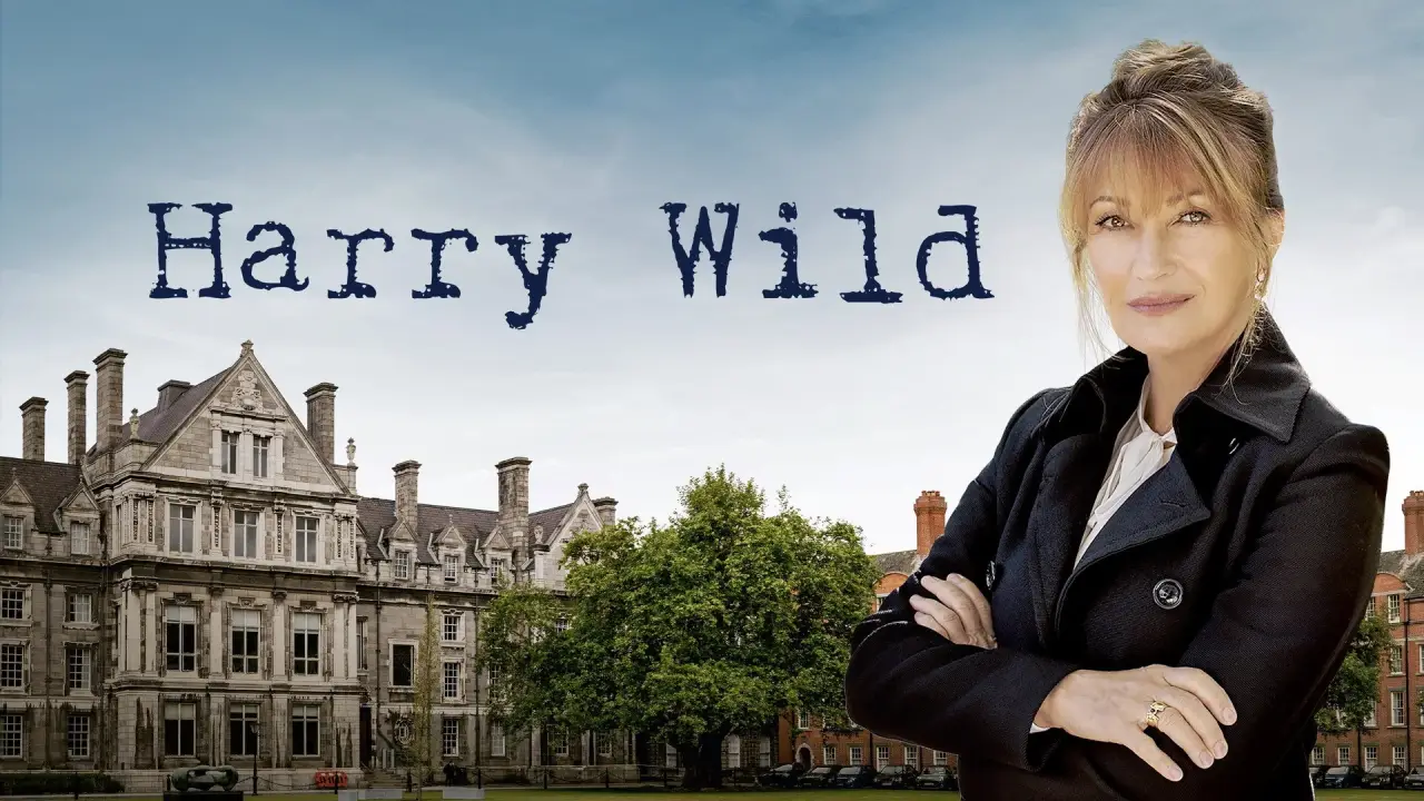 Harry Wild - Mörderjagd in Dublin hdfilme