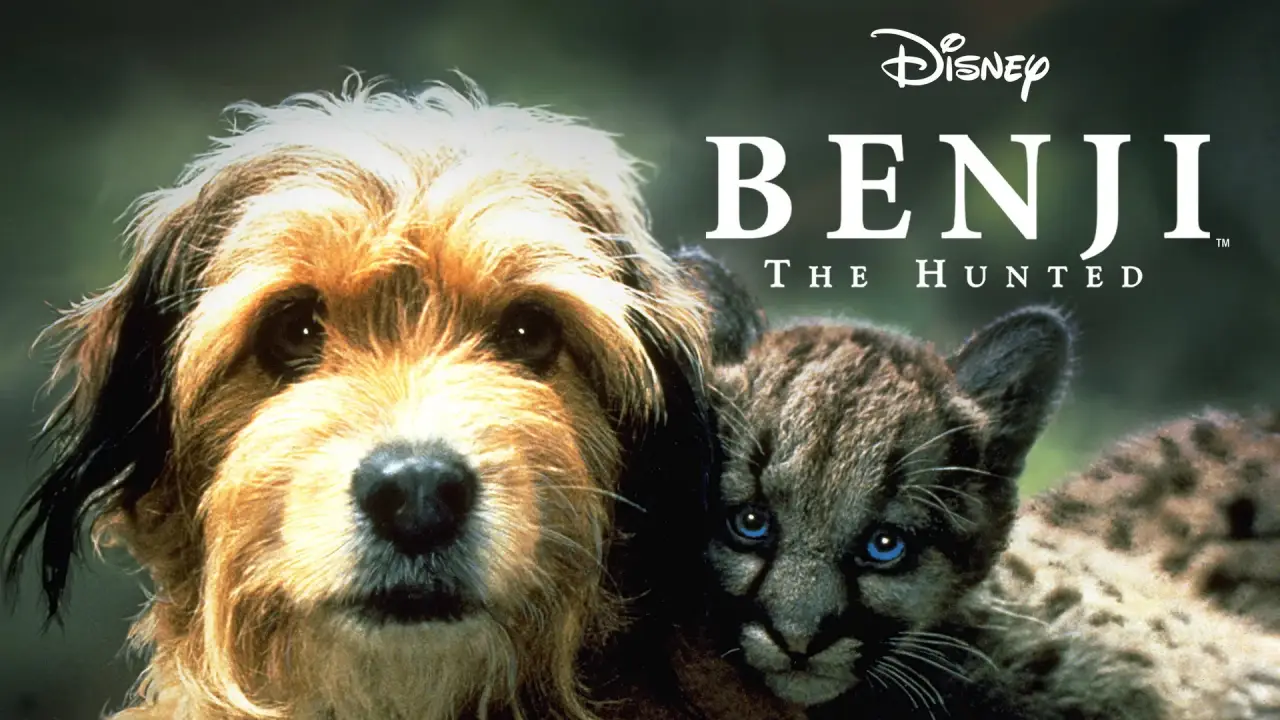 Benji, sein größtes Abenteuer hdfilme
