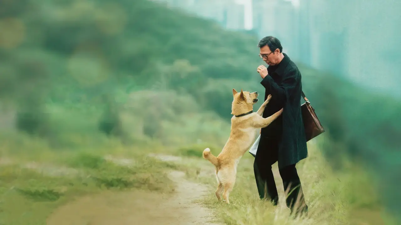 Hachiko hdfilme