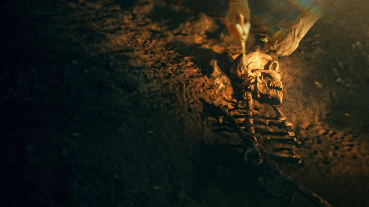 Geheimnisse der Neandertaler hdfilme