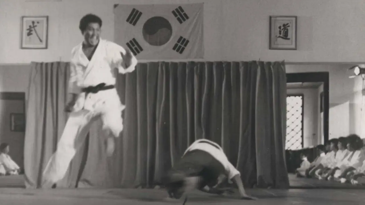 Bruce Lee - Noch aus dem Grab schlage ich zurück hdfilme