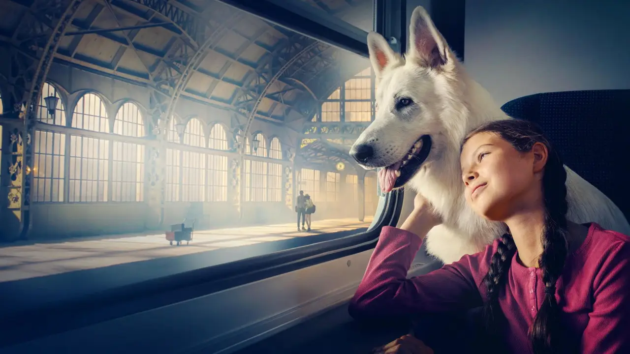Lampo: Ein Vierbeiner auf Reisen hdfilme