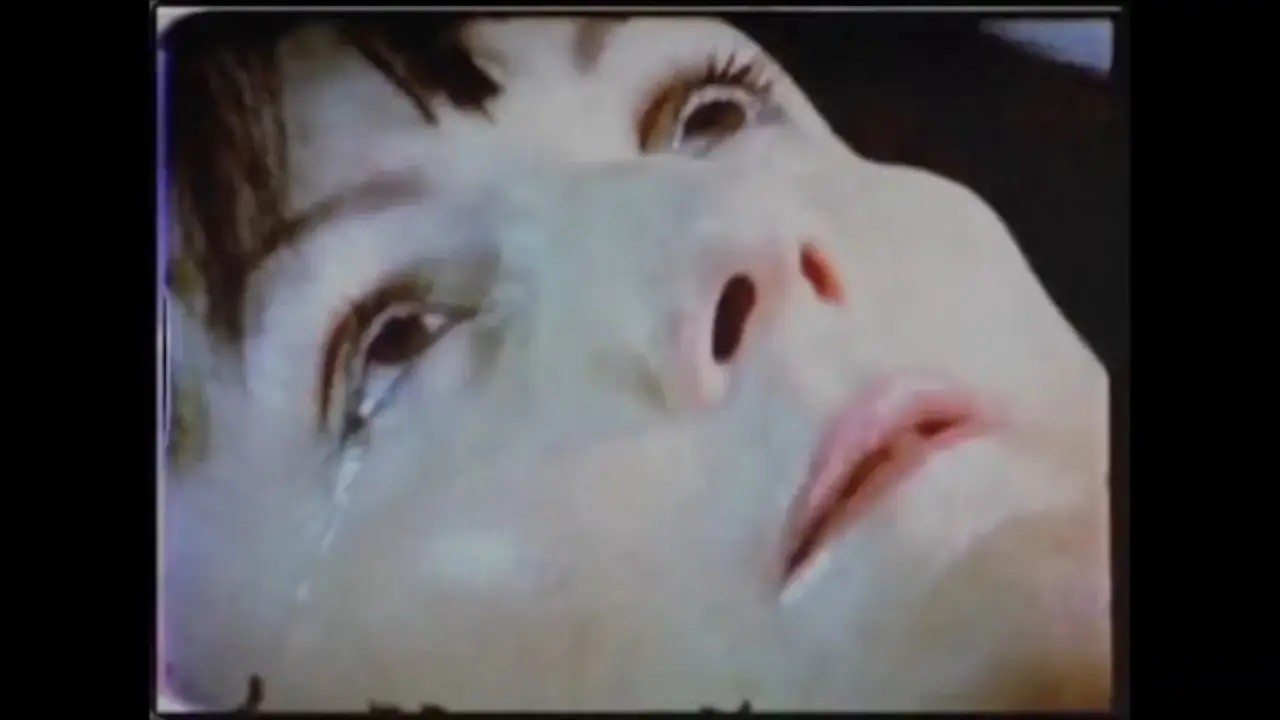 American Guinea Pig: Bouquet of Guts and Gore hdfilme
