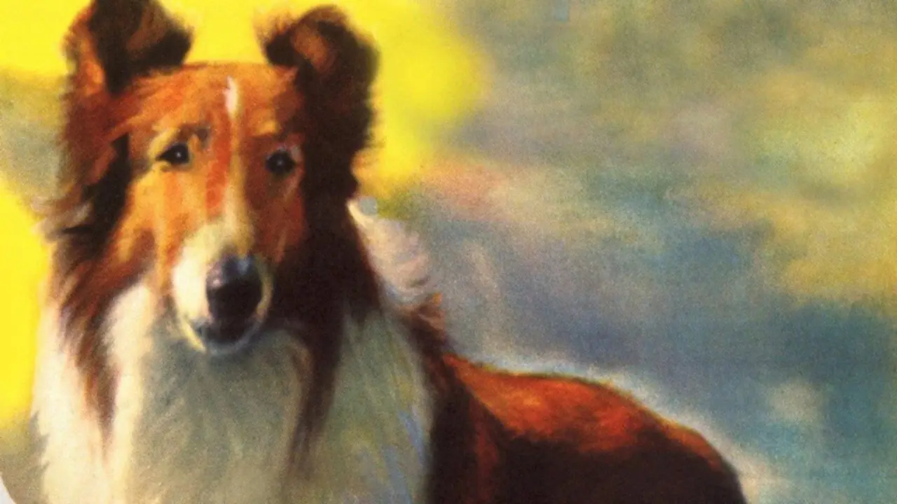Lassie und die Goldgräber hdfilme