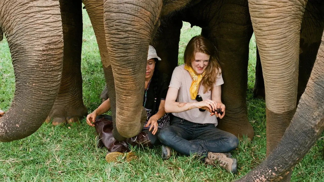 Love & Bananas: An Elephant Story hdfilme