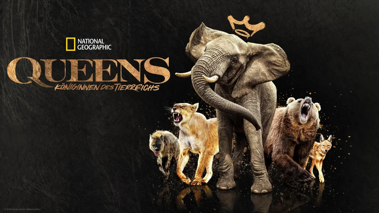 Queens – Königinnen des Tierreichs hdfilme