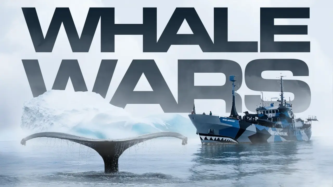Whale Wars hdfilme