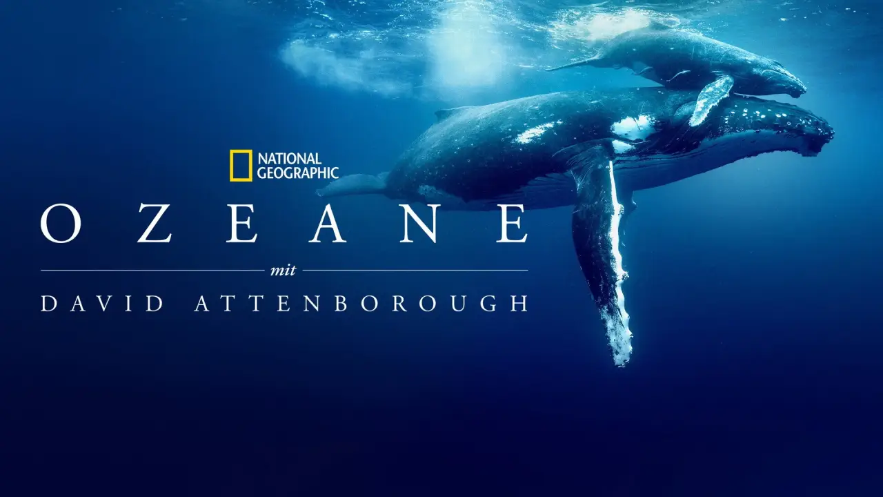 Ozean mit David Attenborough hdfilme