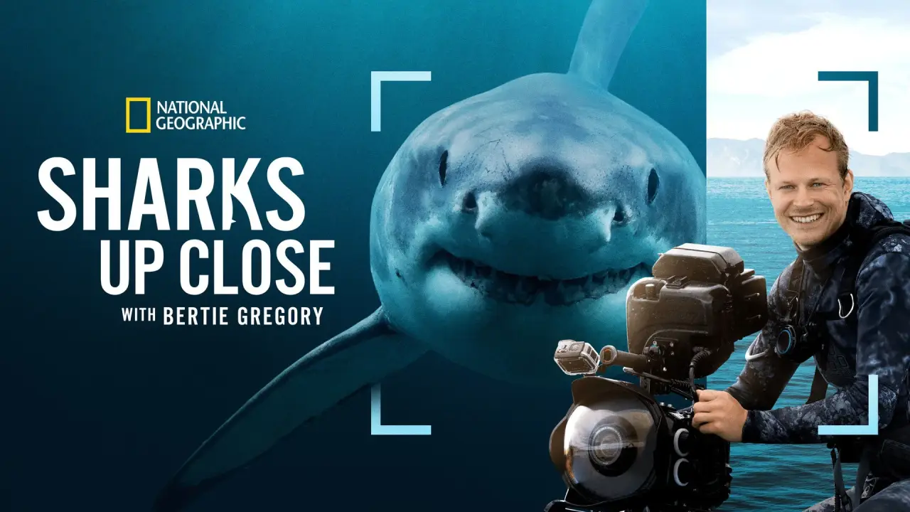 Sharks Up Close with Bertie Gregory hdfilme
