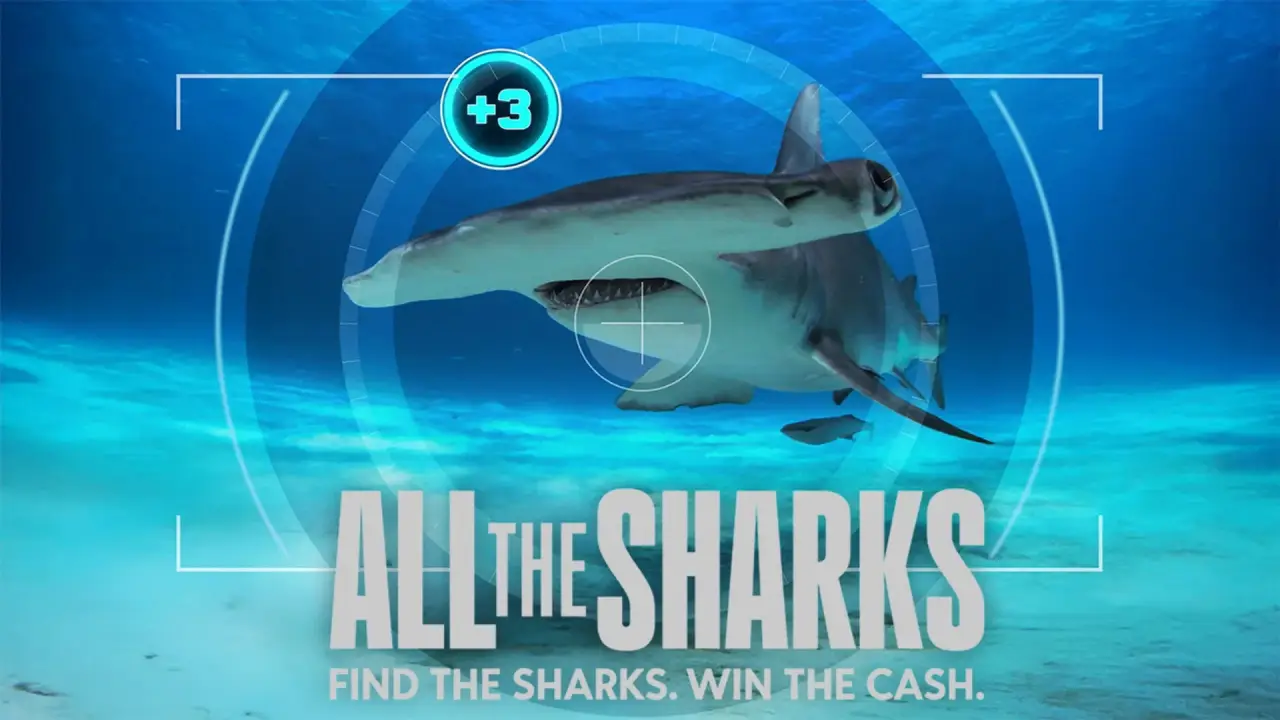 All the Sharks hdfilme