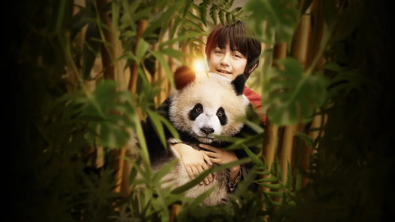 Moon, der Panda hdfilme