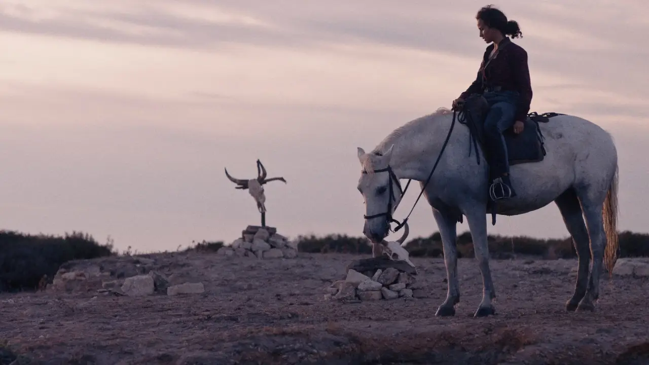 Animale hdfilme