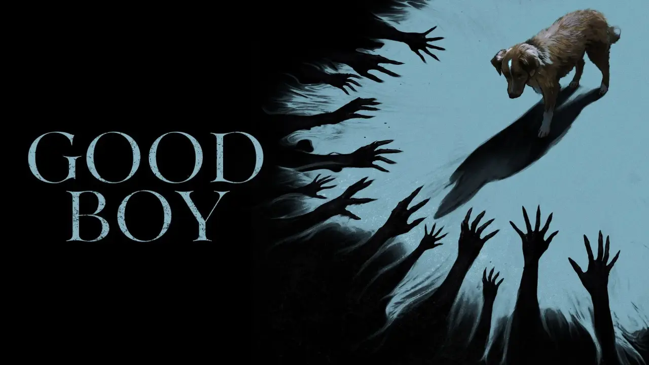 Good Boy - Trust His Instincts hdfilme
