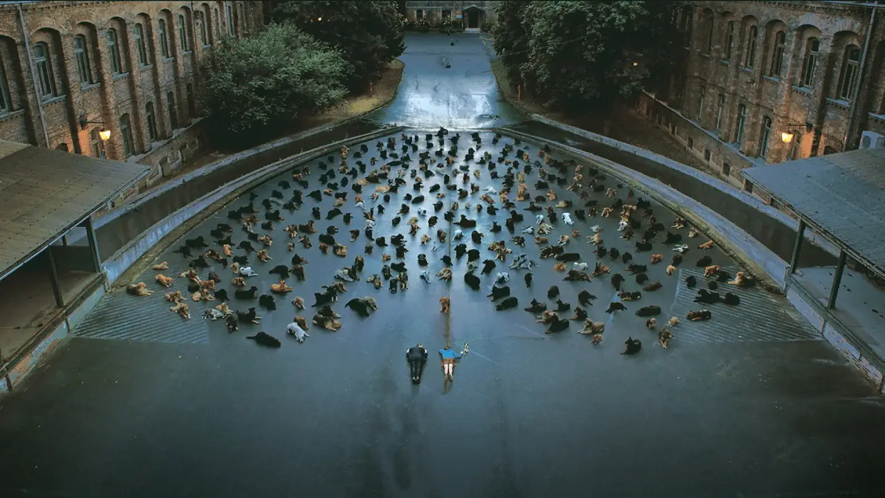 Underdog hdfilme