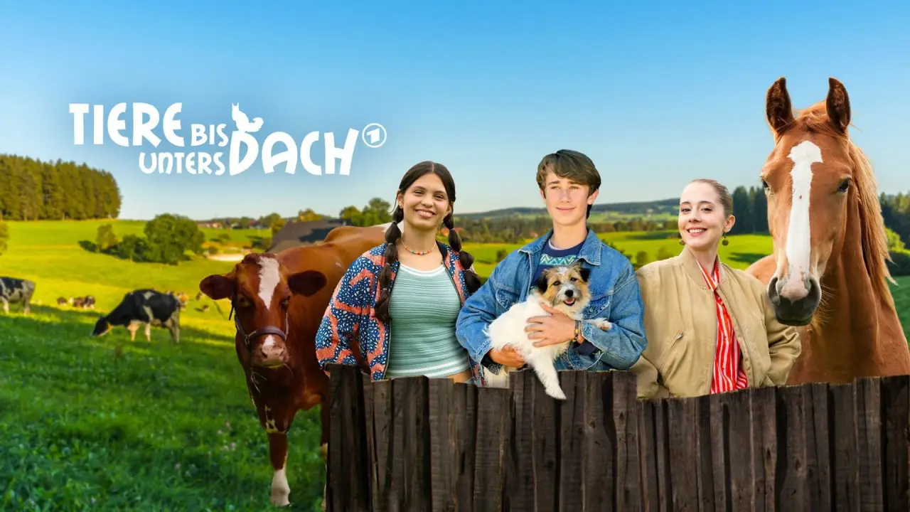 Tiere bis unters Dach hdfilme