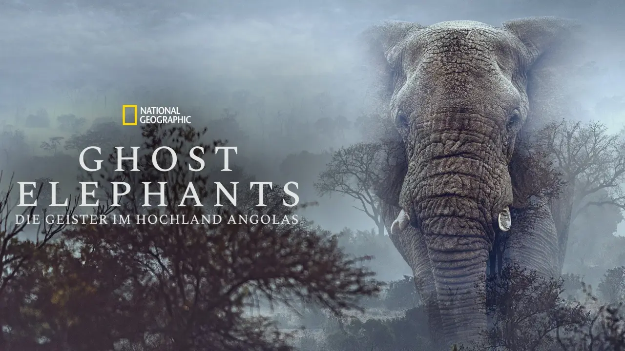 Ghost Elephants hdfilme