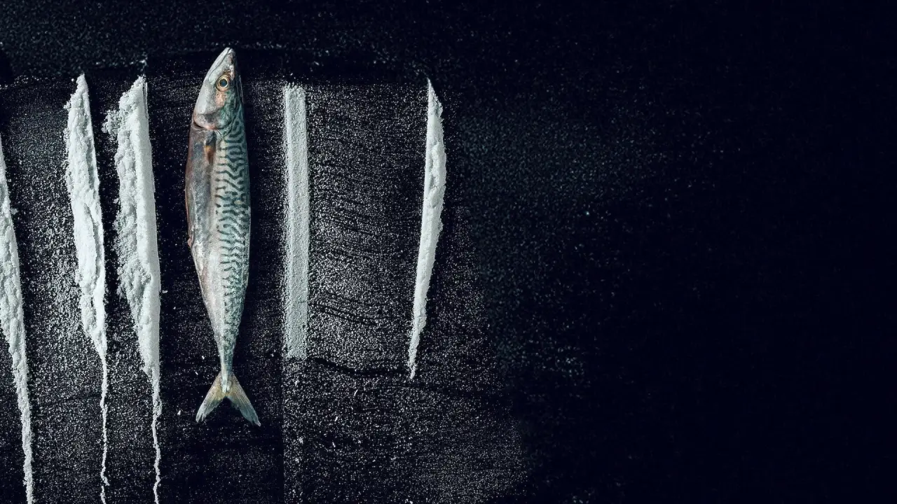 Weißes Meer: Die surreale Story von Rabo de Peixe hdfilme