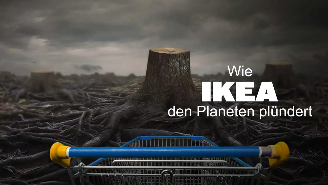 Wie IKEA den Planeten plündert hdfilme