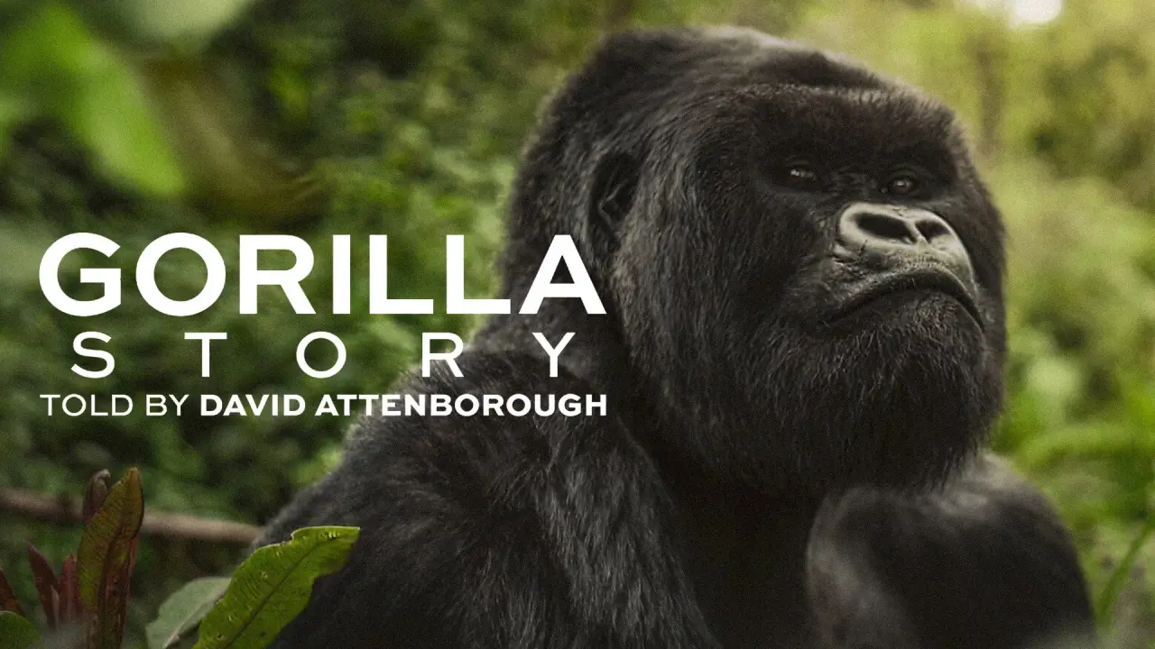 Eine Gorilla-Story erzählt von David Attenborough hdfilme
