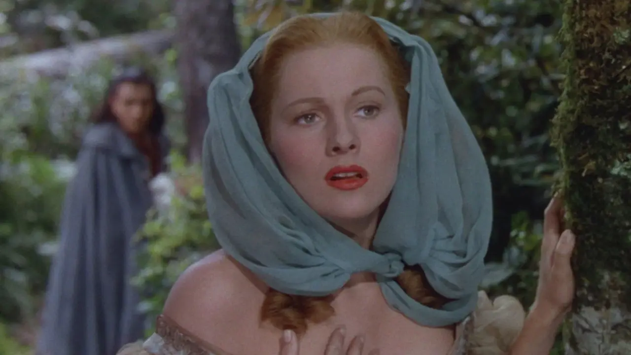 Der Pirat und die Dame hdfilme