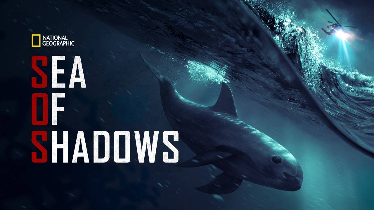 Sea of Shadows – Kampf um das Kokain des Meeres hdfilme