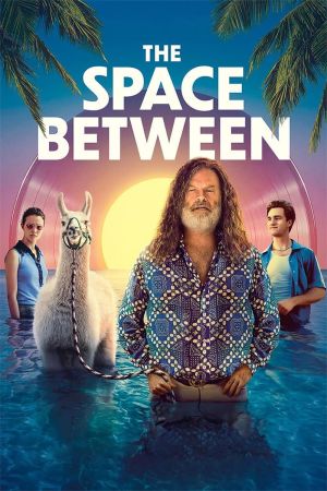 The Space Between - Im Rausch der Musik poster