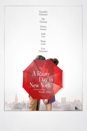 A Rainy Day in New York poster