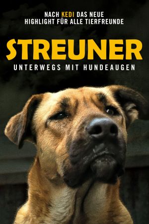 Streuner - Unterwegs mit Hundeaugen hdfilme stream online