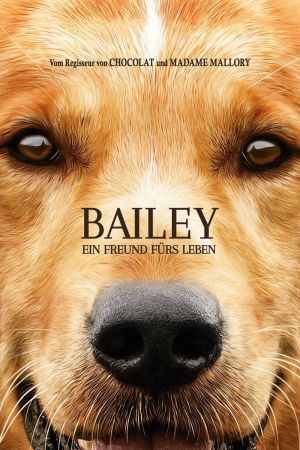 Bailey – Ein Freund fürs Leben poster