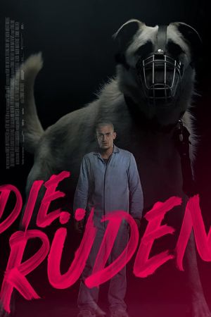 Die Rüden hdfilme stream online