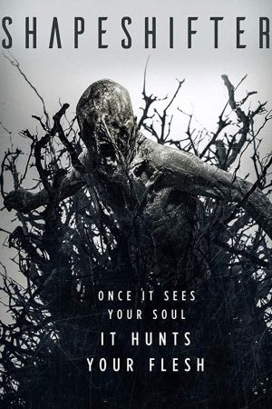 Shapeshifter poster