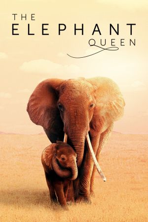 Die Elefantenmutter poster
