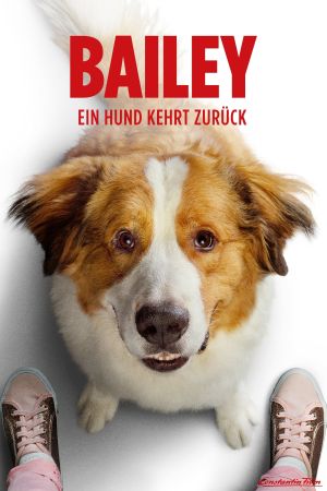 Bailey - Ein Hund kehrt zurück poster