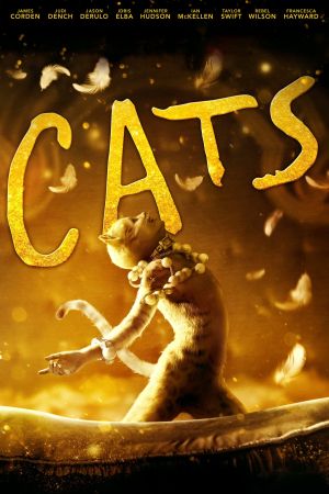 Cats poster