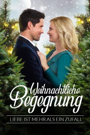 Weihnachtliche Begegnung - Liebe ist mehr als ein Zufall poster