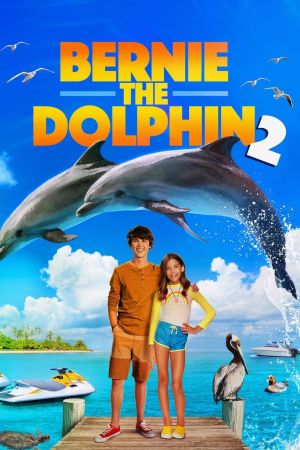 Bernie der Delfin 2 - Ein Sommer voller Abenteuer poster