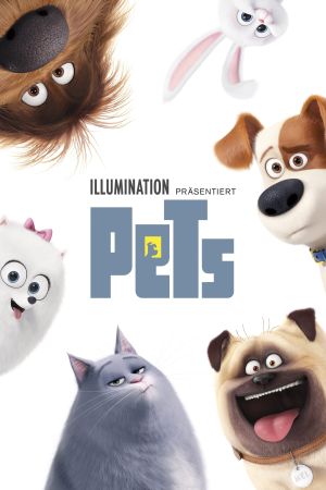 Pets poster