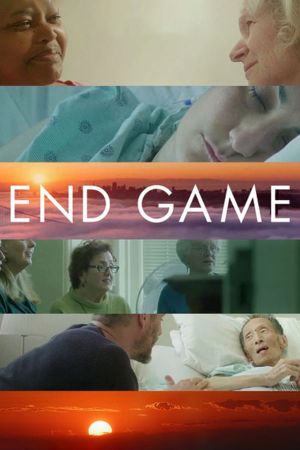 Endspiel poster